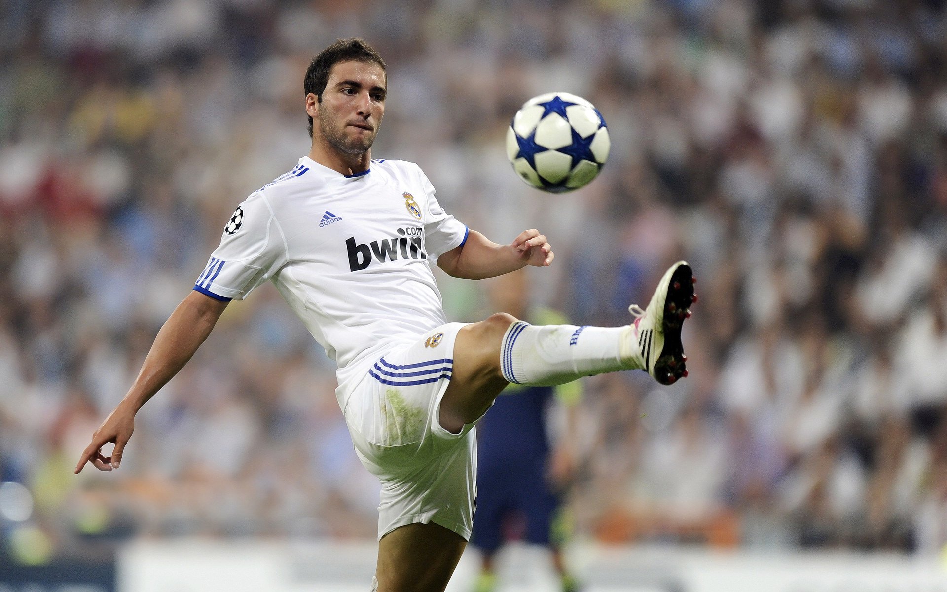 亚冠前瞻：残阵海港难自保申花不留力国安若不胜堪忧